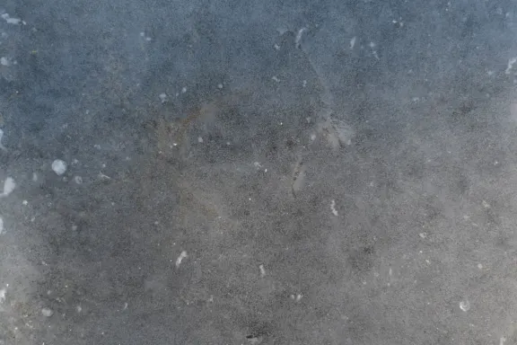 Casino Coins Game Stuðningur